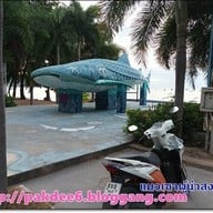 หาดบางเสร่