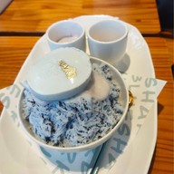 blueshark kohtao kohtao