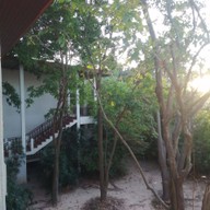 โรงแรมบ้านต้นไม้