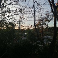 โรงแรมบ้านต้นไม้