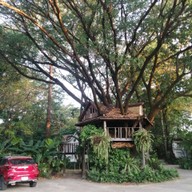 โรงแรมบ้านต้นไม้