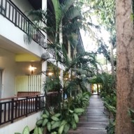 โรงแรมบ้านต้นไม้