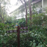 โรงแรมบ้านต้นไม้