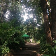 บรรยากาศ น้ำตกผาเสื่อ