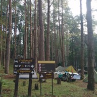 บรรยากาศ ลานกางเต็นท์ดงสน อุทยานแห่งชาติดอยอินทนนท์