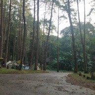 บรรยากาศ ลานกางเต็นท์ดงสน อุทยานแห่งชาติดอยอินทนนท์