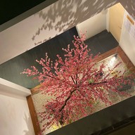 Zen Next Khao Yai By ZV