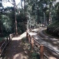 บรรยากาศ อุทยานแห่งชาติน้ำตกแม่สุรินทร์