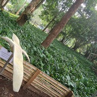 วนธาราเฮลท์รีสอร์ทแอนด์สปา