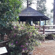 บรรยากาศ อุทยานแห่งชาติน้ำตกแม่สุรินทร์