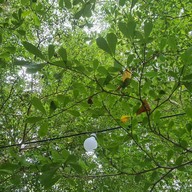 วนธาราเฮลท์รีสอร์ทแอนด์สปา