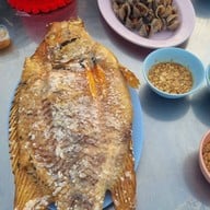 ไผ่ราชาปลาเผา