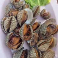 ไผ่ราชาปลาเผา