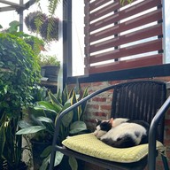 ภูมิใจเวียดนาม ร้องกวาง