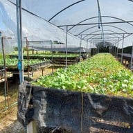 ครัวอุดร ป้าจิตรเจ้าเก่า ครัวอุดรป้าจิตร