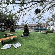 ลานไทรคาเฟ่