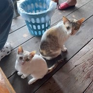 บ้านริมน้ำ