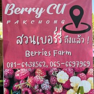 BerryCU Farm