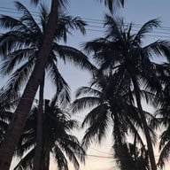 หาดวอนนภา
