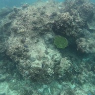 บรรยากาศ PK Coffee Shop