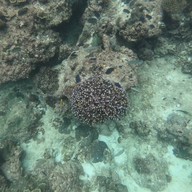 บรรยากาศ PK Coffee Shop