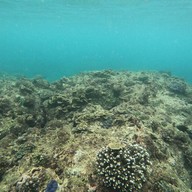 บรรยากาศ PK Coffee Shop