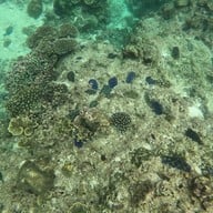 บรรยากาศ PK Coffee Shop