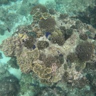 บรรยากาศ PK Coffee Shop