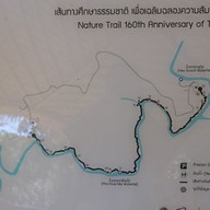 ผากล้วยไม้ (ลานกางเต็นท์ )