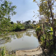 บรรยากาศ บ้านบนบัว