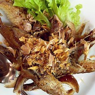 ครัวสวนป่าสัก