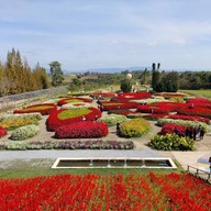 Flora Park