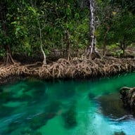 บรรยากาศ ท่าปอม คลองสองน้ำ