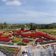 Flora Park