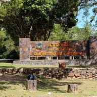 บรรยากาศ ผากล้วยไม้ (ลานกางเต็นท์ )