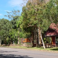 บรรยากาศ ผากล้วยไม้ (ลานกางเต็นท์ )