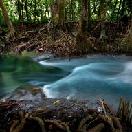 บรรยากาศ ท่าปอม คลองสองน้ำ