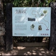 ผาเดียวดาย