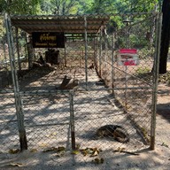 สวนสัตว์เปิดสถานีวิจัยการเลี้ยงสัตว์ป่าเขาประทับช้าง
