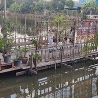 ครัวระเบียงน้ำ ลาดกระบัง