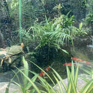 The Color Smile Dental Clinic ปทุมธานี