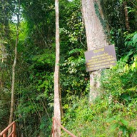 บรรยากาศ น้ำตกเหวนรก