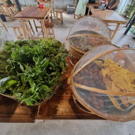 เมนูของร้าน ขนมจีนมีน้ำยา (Me Nam Yaa)