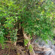 บรรยากาศ น้ำตกเหวนรก