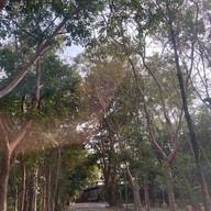 วัดป่าภูตคาม