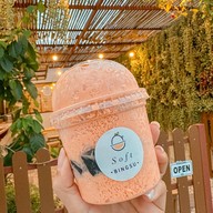 Soft Bingsu สวนเสือ