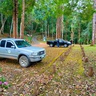 บรรยากาศ อุทยานแห่งชาติน้ำตกแม่สุรินทร์