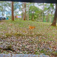 บรรยากาศ อุทยานแห่งชาติน้ำตกแม่สุรินทร์