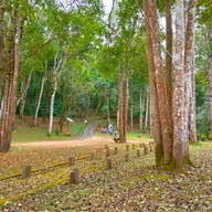 บรรยากาศ อุทยานแห่งชาติน้ำตกแม่สุรินทร์