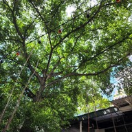 Luka SIRI HOUSE at Somkid